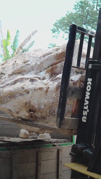 Sorella Onyx Pendant Lights | Handmade Stone Lighting Australia – Wild Fig